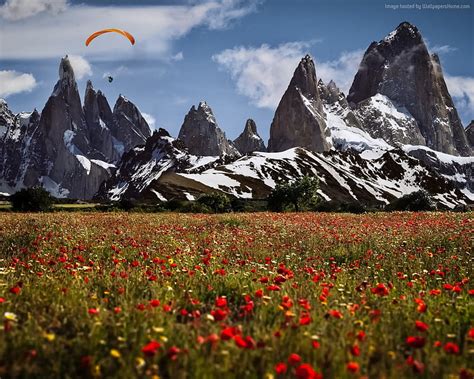 Poppies Field In Switzerland Mountains Poppies Nature Clouds Field