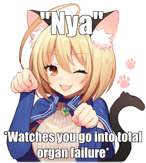 Best Catgirl Images On Pholder Awwnime Animemes And Goodanimemes
