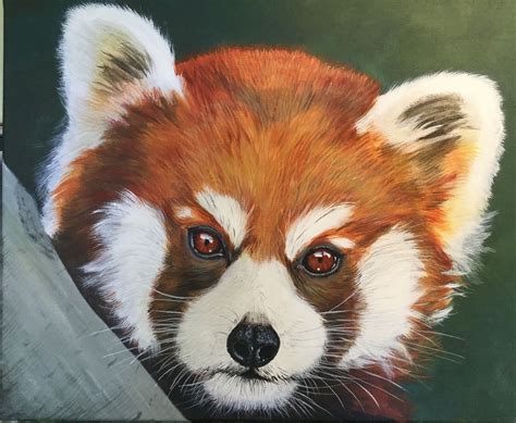 Red Panda Acrylic On Canvas Panda Painting Animal Art Animals