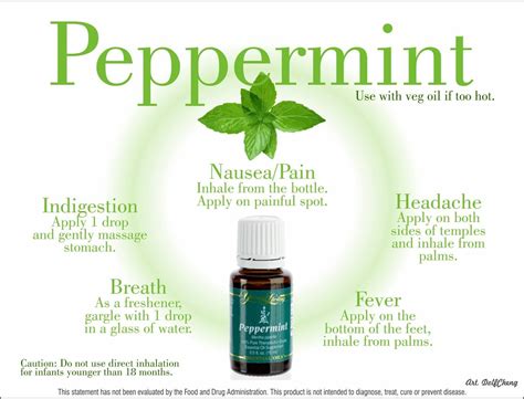 Tisserand and young confirm that it is low risk as a mucous membrane irritant. Peppermint | Essential Oils | Pinterest