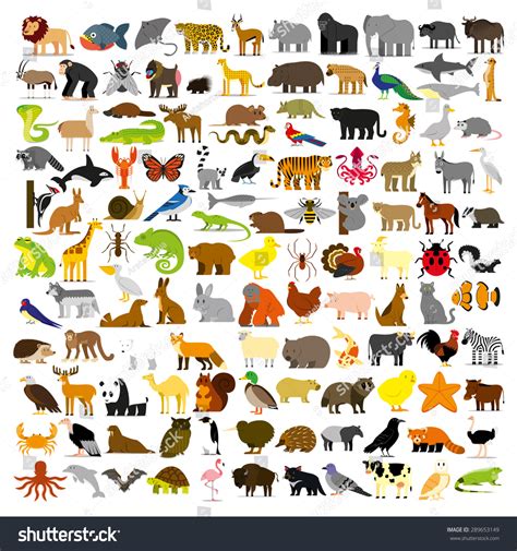 2 229 989 동물 간판 이미지 스톡 사진 및 벡터 Shutterstock