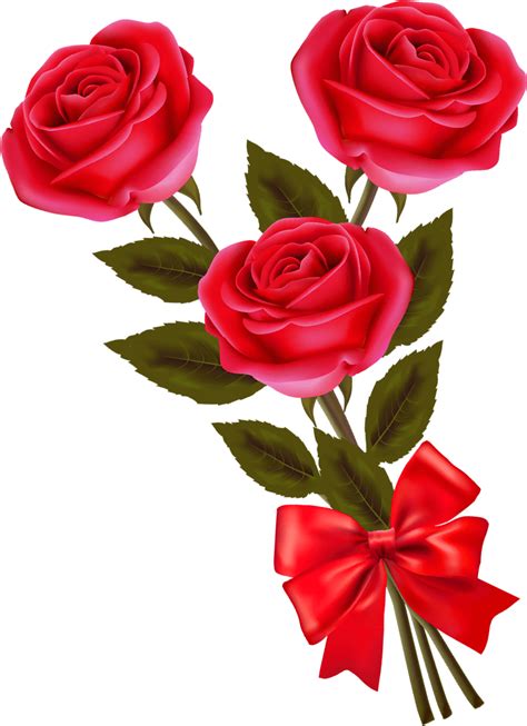 Rose Flower PNG Image - Red Rose Flower PNG Images- Rose Flower