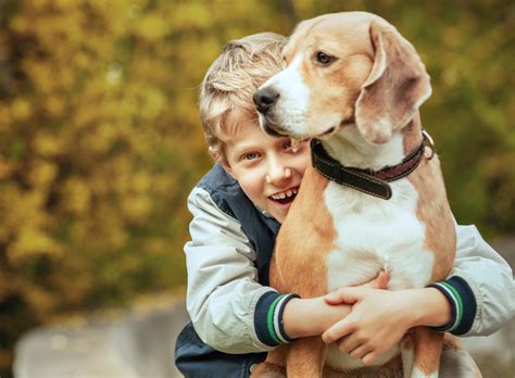 Lovey Dovey For Your Puppy The History And Psychology Of The Human
