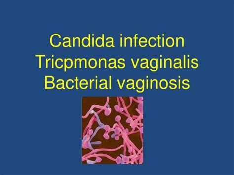 PPT Candida Infection T Ricpmonas Vaginalis Bacterial Vaginosis