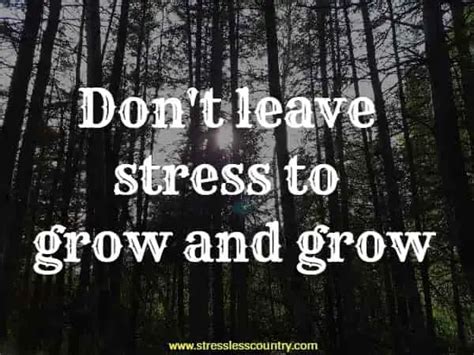 35 Stress Quotes Short Quotes