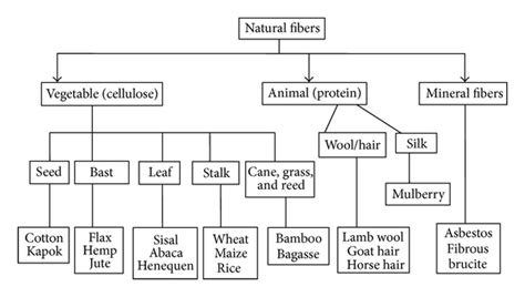 Different Types Of Natural Fibres And Their Uses A Plus