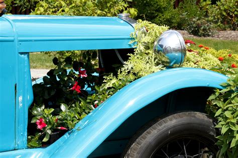 Old Car Planter 1 Free Stock Photo Public Domain Pictures