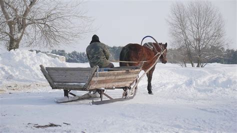 Horse Pulling Sleigh In Winter Old Winter Stock Footage Sbv 331760148