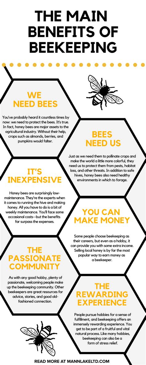 The Main Benefits Of Beekeeping Mann Lake Bee And Ag Supply