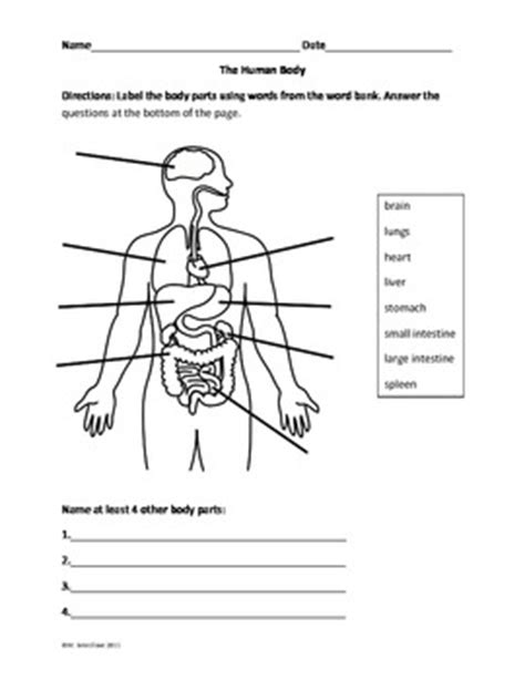 The winner is below, but first the. Label the Human Body by MaryLou Breedlove | Teachers Pay ...