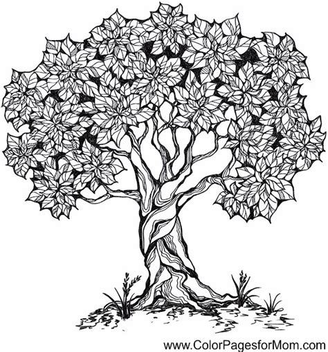 Tree Coloring Page 26