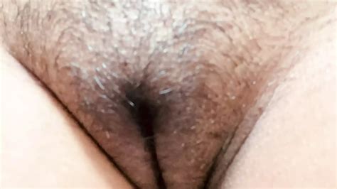 hairy desi indian pussy xhamster