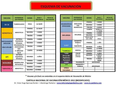 La vacuna será producida entre méxico y argentina. Esquema de vacunación a través del tiempo timeline ...