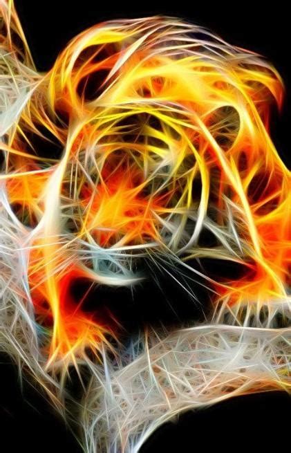 Feel free to download, share, comment and discuss every wallpaper you like. Neon Animals Wallpapers for Android - APK Download