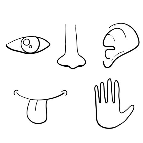 Icon Set Of Five Human Senses Is Eye Nose Ear Hand Mouth With Tongue With Hand Drawn Doodle