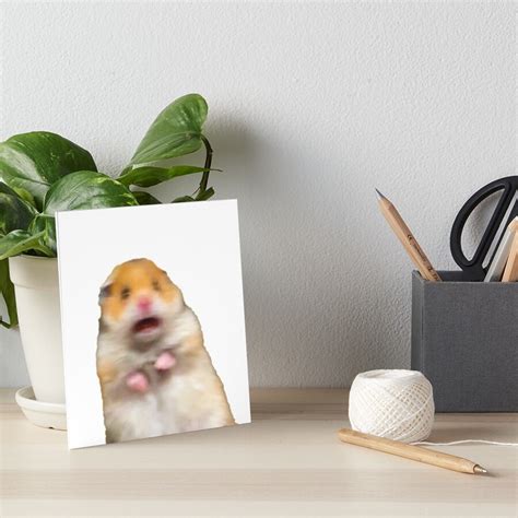 Scared Hamster Meme Art Board Print For Sale By Helpmepayrent Redbubble