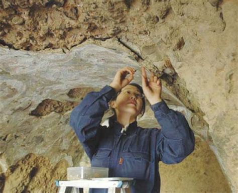 Mar 17, 2021 · 遺跡はタリバンによって2001年に破壊された（2021年3月3日撮影）。 「美しい眺めで、みんなに希望を与えていたのに」。 地元住民のハムザ・ヨ. 1 政府開発援助大綱（2003年8月閣議決定）
