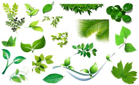 Leaf Clip Art Spring Green Bamboo Leaves Sets Of Plans Png Download