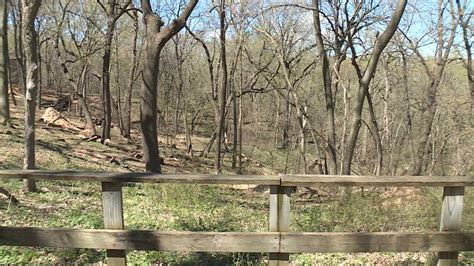 Adventure Park To Open At Fontenelle Forest