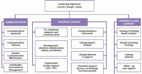 Client Side Business Change Team Structure And Activities Change