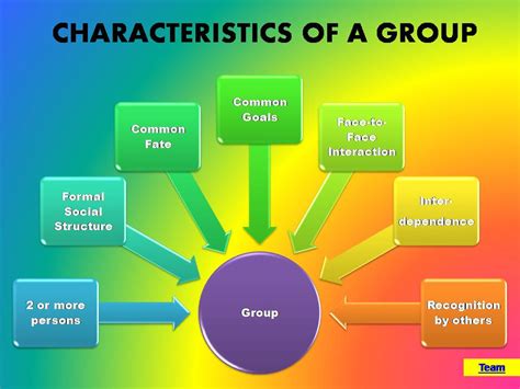 Group Dynamics Group