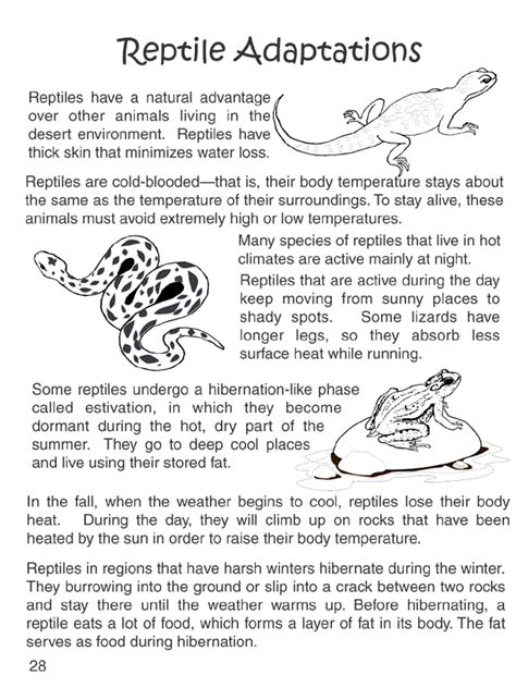 Reptile Adaptations Kindergarten Worksheets Animal Adaptations