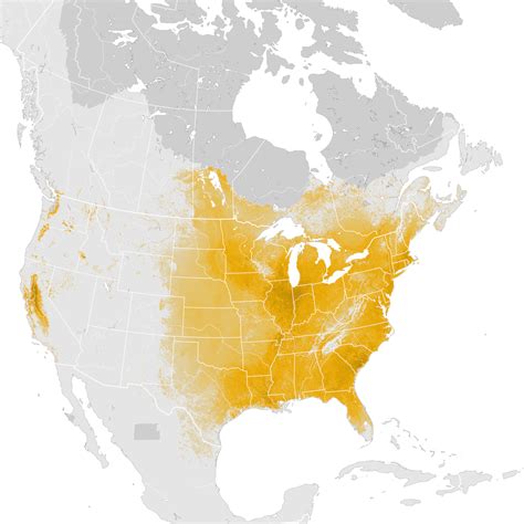 Wood Duck Abundance Map Post Breeding Migration Ebird