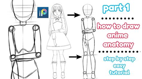 How To Draw Anime Girl Anatomy In Ibis Paint X Easy Tutorial For