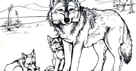 Free Printable Coloring Pages For Adults Advanced Wolves Top Free