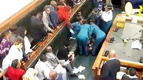 Watch Police Scuffle With Zimbabwean Opposition Mps Africa News