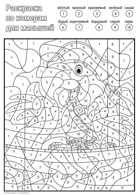 На экране отображается изображение лягушки на листе кувшинки, разделенное на части. Раскраска Раскраска по номерам | Раскраски математические ...