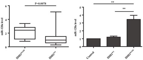 Overexpression Of Idh1 R132h In U87 Cells Induces The Expression Of