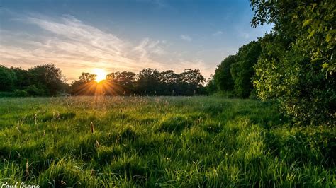 Hd Hintergrundbilder Wiese Gras Sommer Sonne Strahlen Bäume Desktop