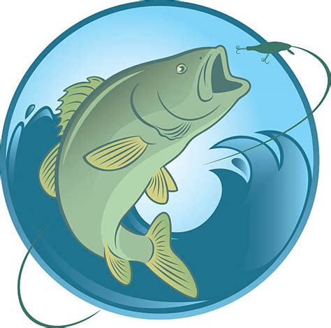 460 Striped Bass Illustrations Royalty Free Vector Graphics And Clip