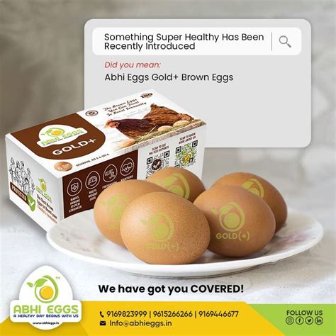 Best Egg Brands India About Us Abhi Eggs Organic Eggs Eggs
