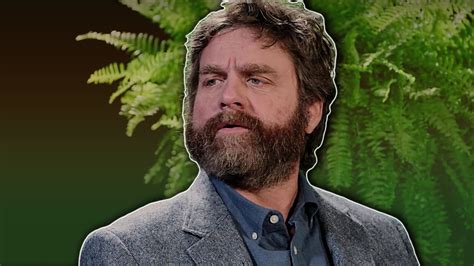 The Brilliance Of Between Two Ferns Youtube
