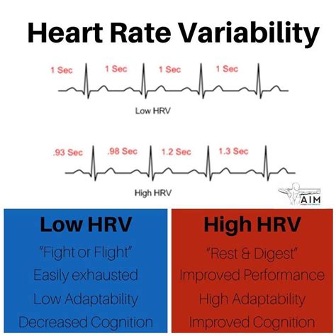 Hrv Heart Rate Variability — Confluence Coach