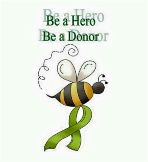Be A Hero Be A Donor Organ Donor Quotes Donate Life Organ Donation
