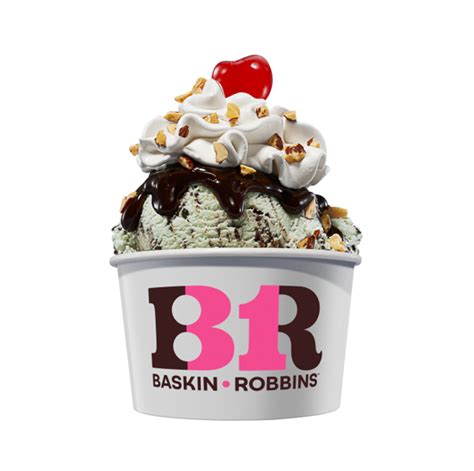 Baskin Robbins Flavors Baskin Robbins