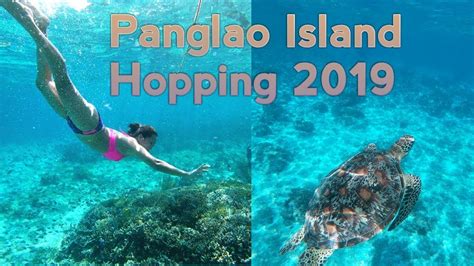 Panglao Bohol Island Hopping Balicasag Dolphin Watching Sea Turtles And Virgin Island Youtube