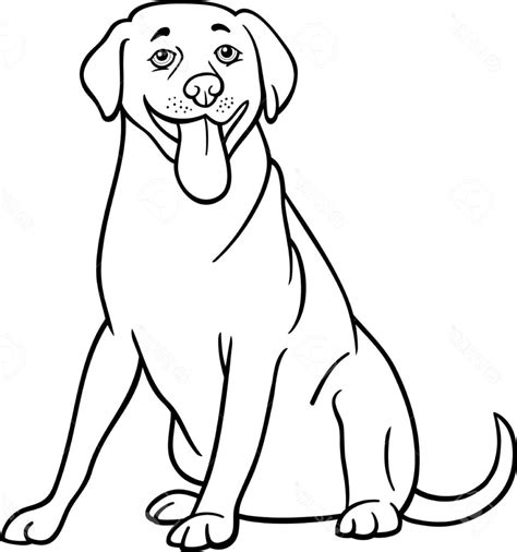 Black Lab Line Drawing Free Download On Clipartmag