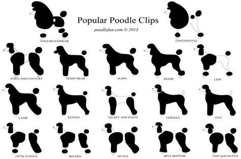 Some people particularly dislike pet names, and simply wish not to referred to with one, as it may seem demeaning. Poodle Haircuts: List of Styles and Clips For Doodle Dog ...