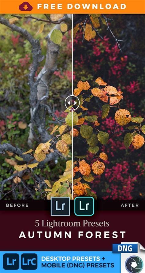 This preset maintains the dense green tones but brings out the browns to create a late autumn look. FREE Autumn Forest Lightroom Presets (Desktop & Mobile DNG ...