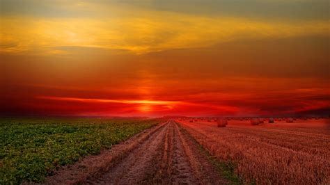 Colorful Sunset At Lonely Field 4k Hd Wallpapers Hd Wallpapers Id