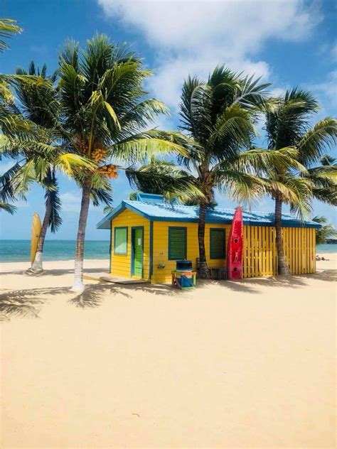 Pure Placencia Top 10 Things To Do In Placencia Village Belize
