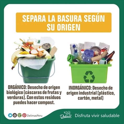 Cómo Reciclar Los Residuos Sólidos Orgánico E Inorgánico