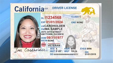 Ca Drivers License Font Decorvica