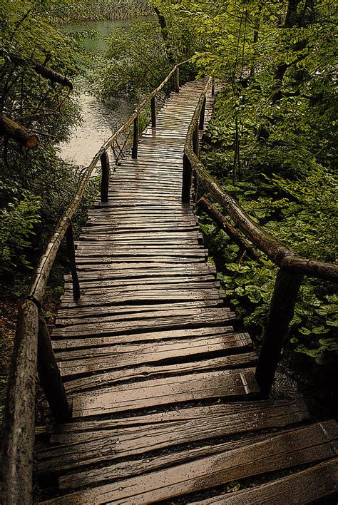 Wooden Bridge In Rain Photograph By Don Wolf