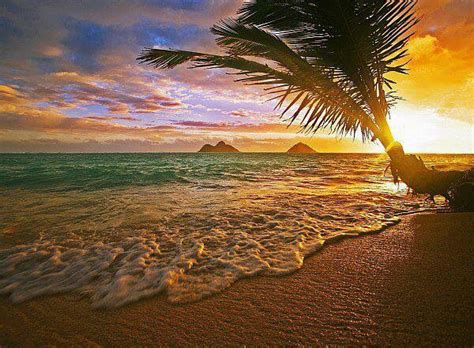 Lanikai Sunset Hawaii Beaches Pinterest Hawaii Sunrises And