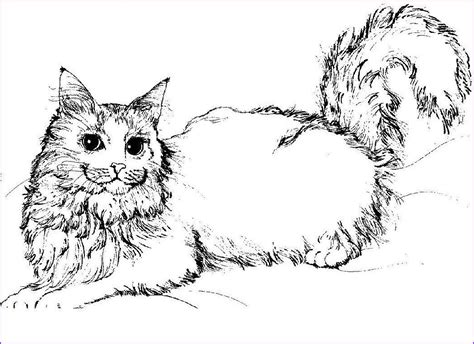 795 Cartoon Realistic Coloring Pages Of Cats With Printable Coloring